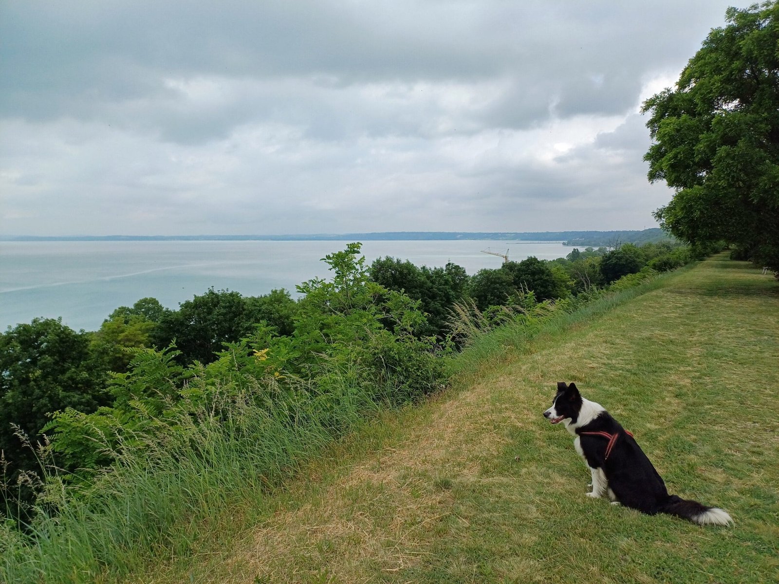 En natuurlijk: Balaton