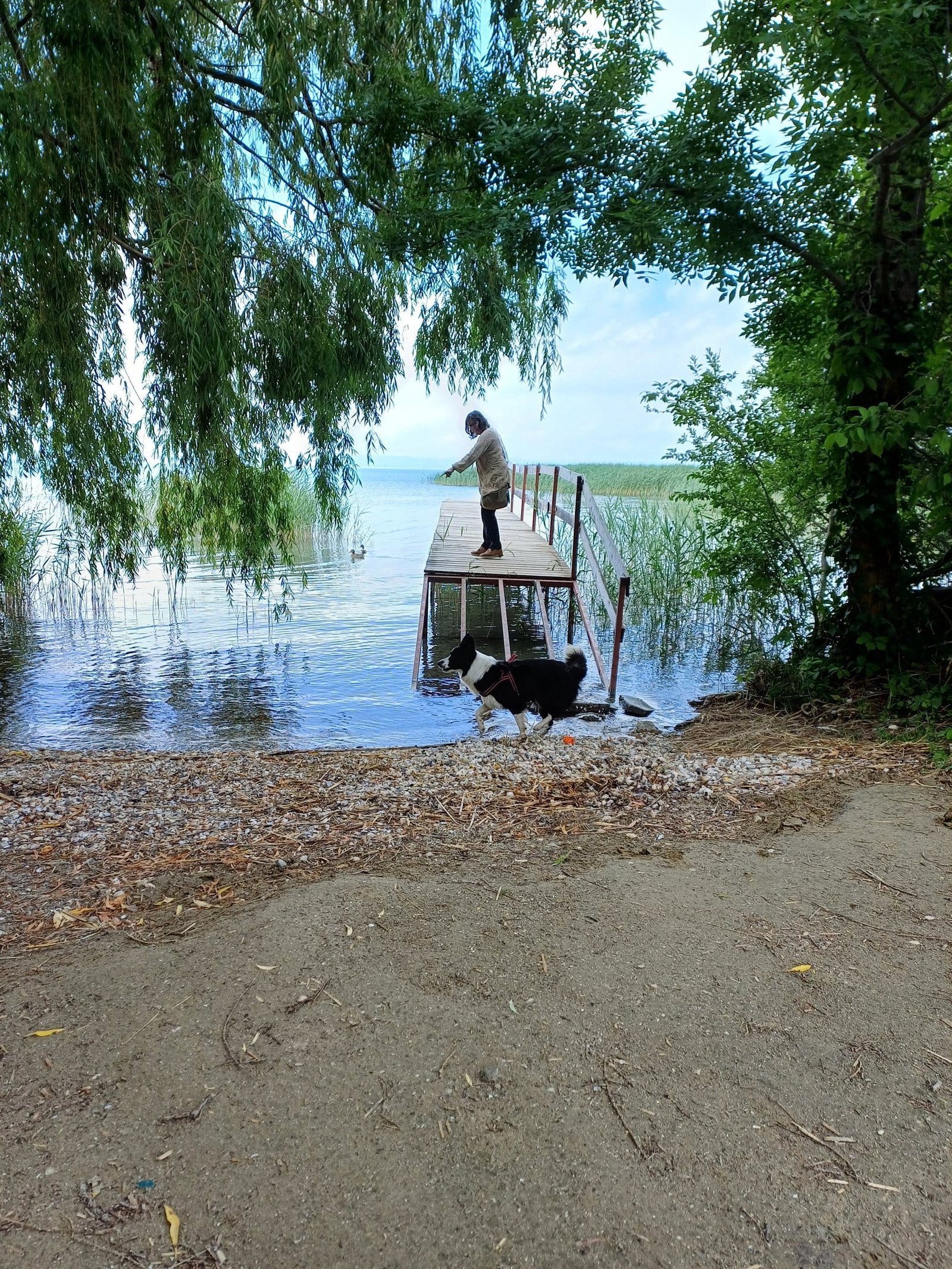 En natuurlijk: Balaton