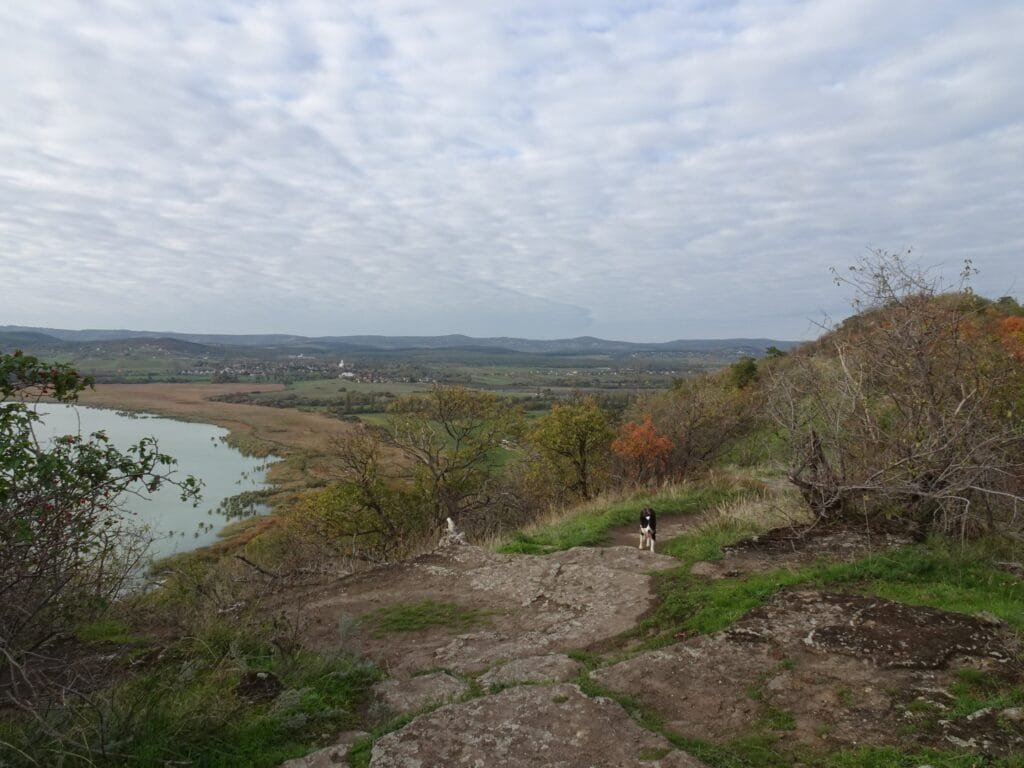 Tihany