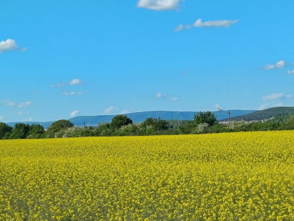 De Hongaarse bergketens
