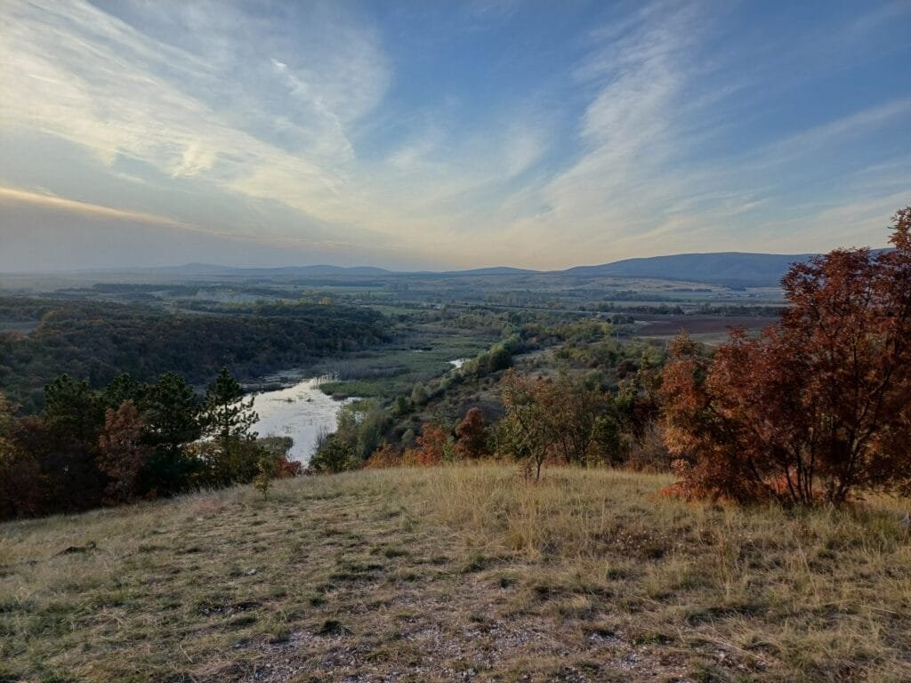 Bezoek