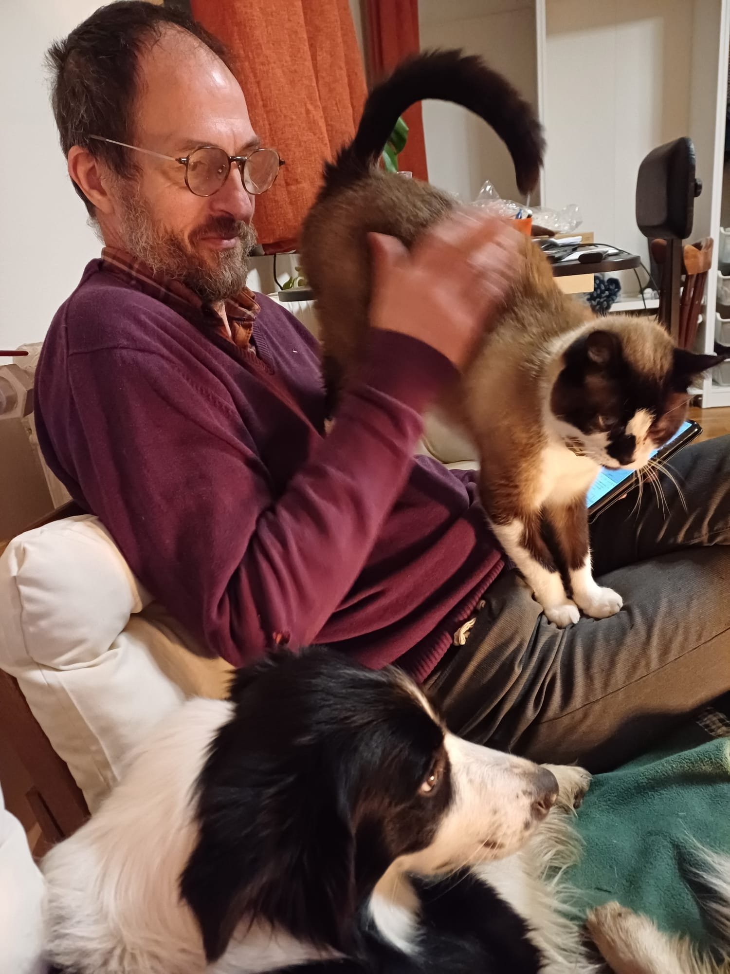 Onze kat, Winston