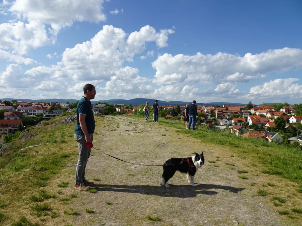 Stadsbezoek Veszprém