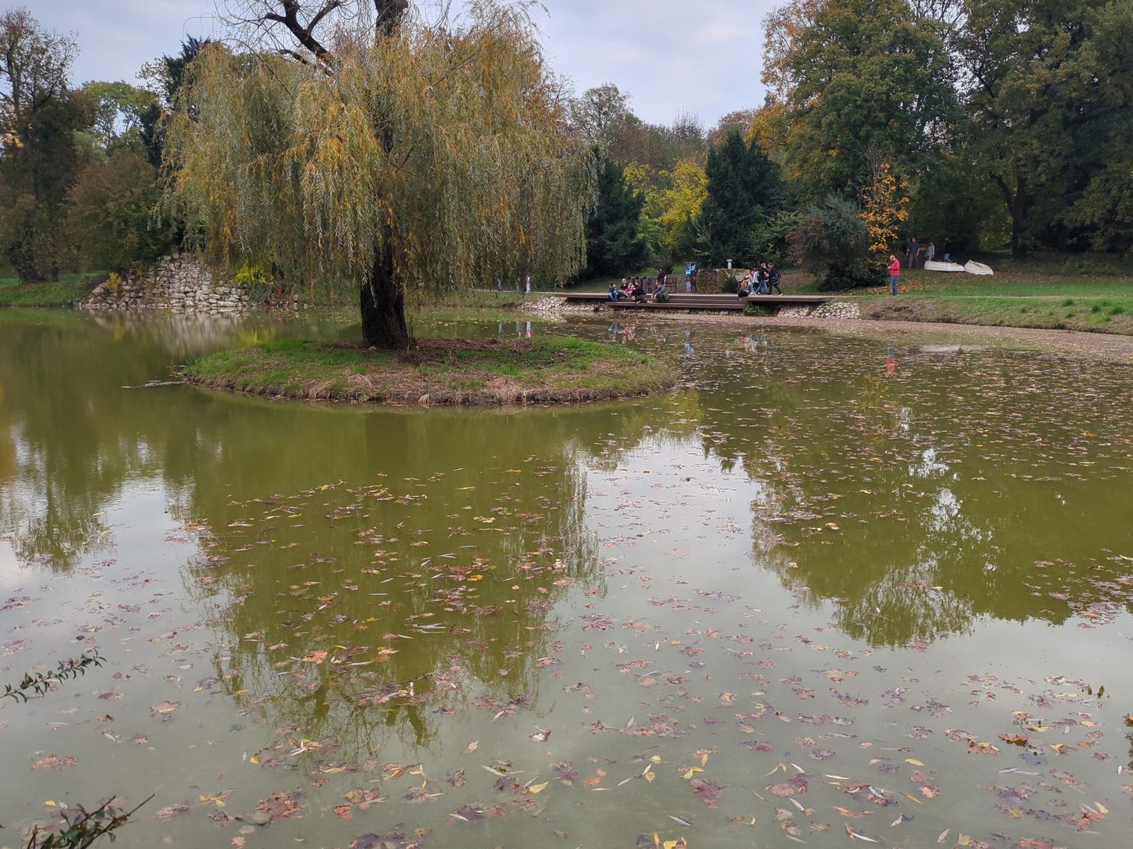 Tuinvijver van Ladasladany