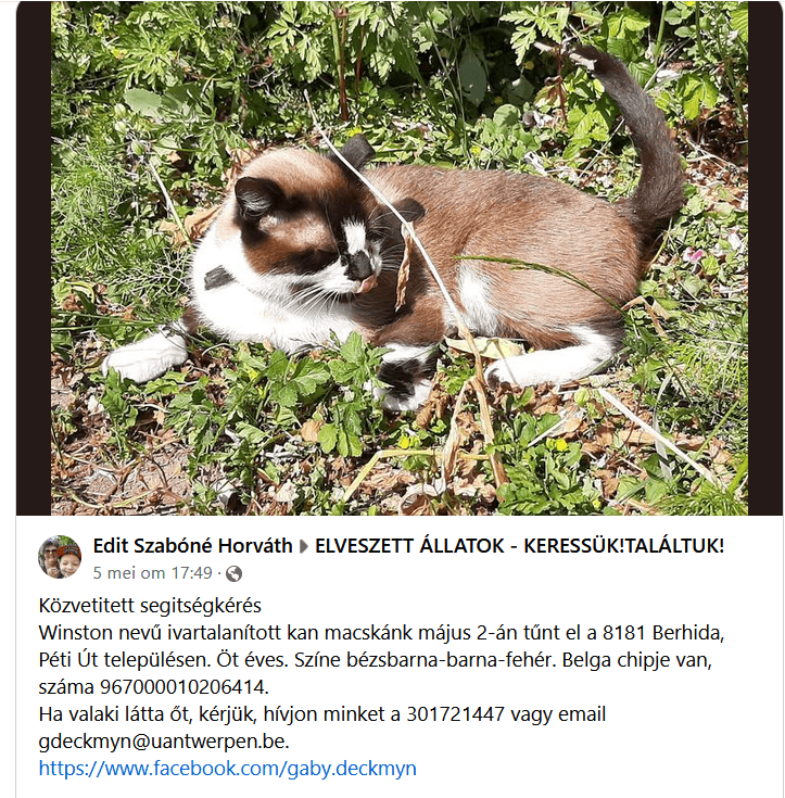 Onze kat, Winston