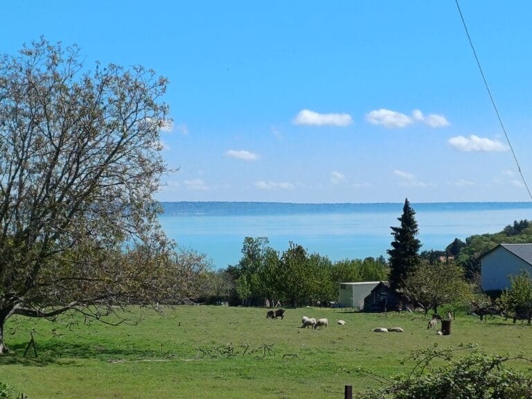 Cycling around Balatonalmádi