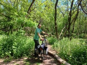 Paadje door het bos