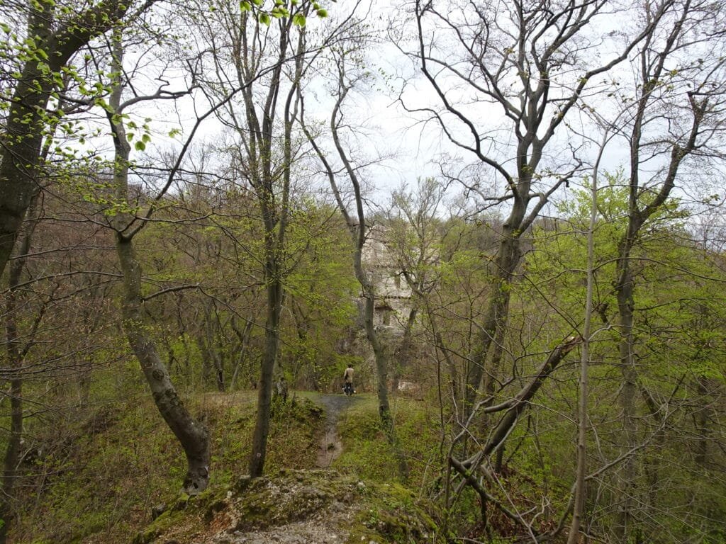 DSC03255