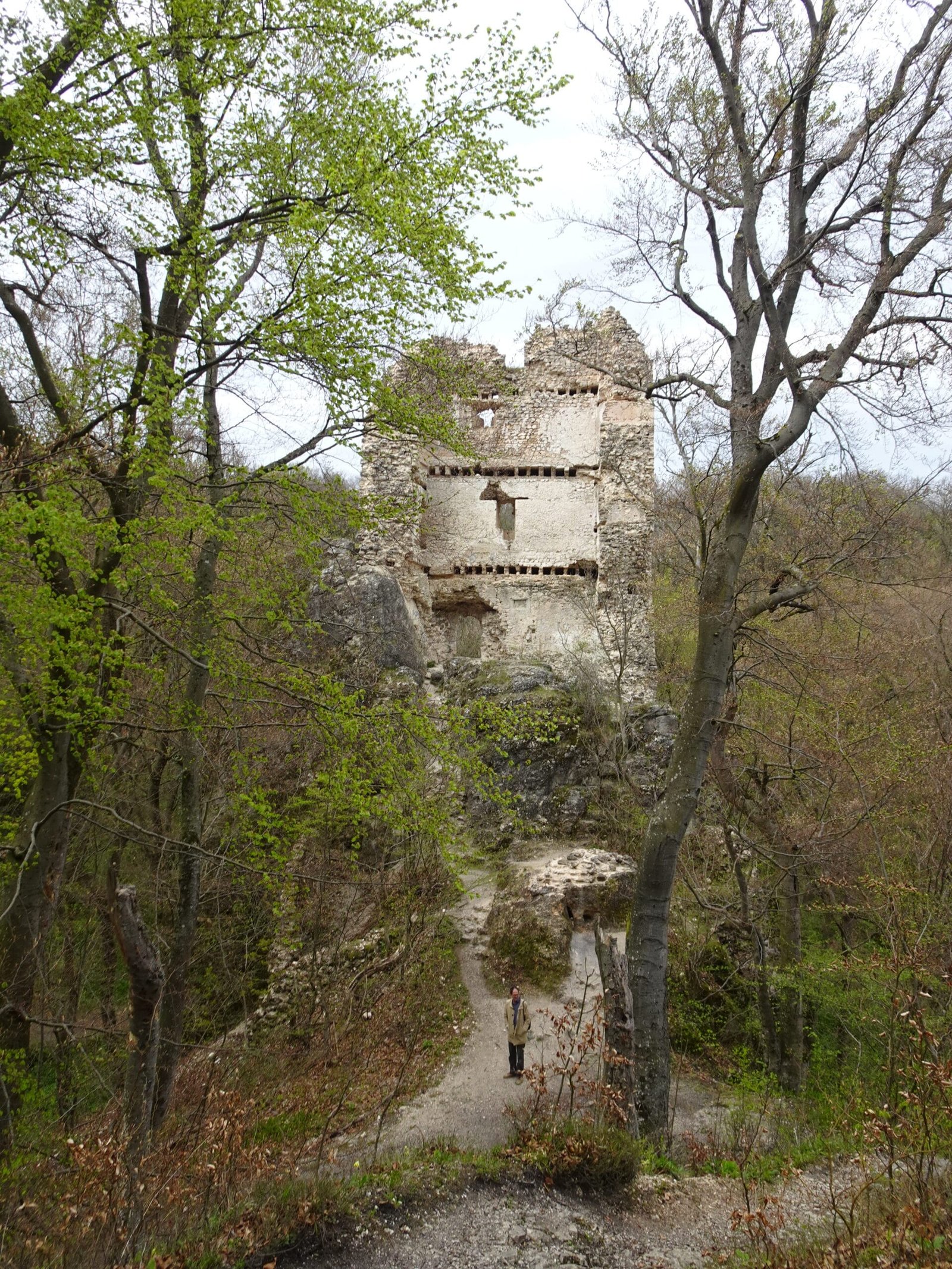 Bátorkő Vára