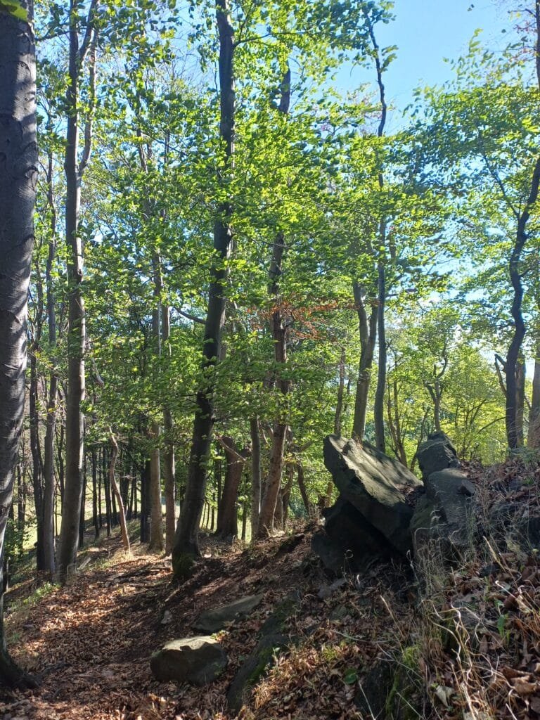 De Hongaarse bergketens