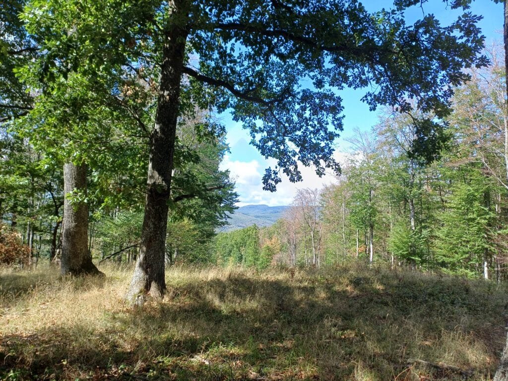 De Hongaarse bergketens