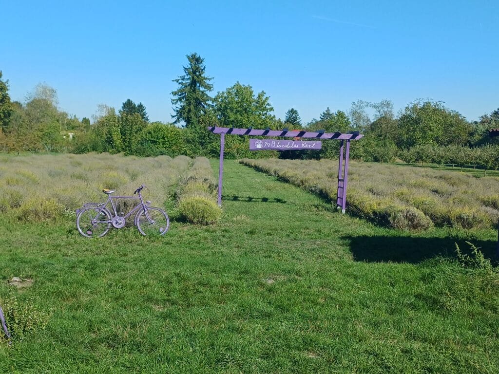 Fietstocht rond het oostelijk Balaton