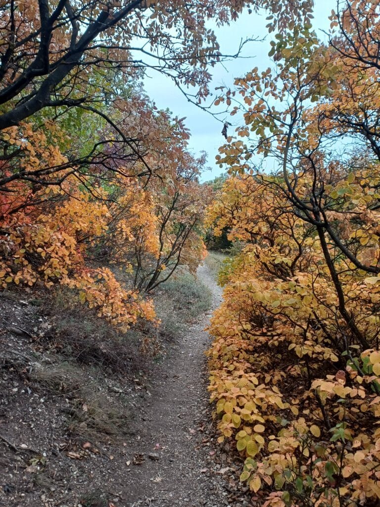 Hongaarse herfst