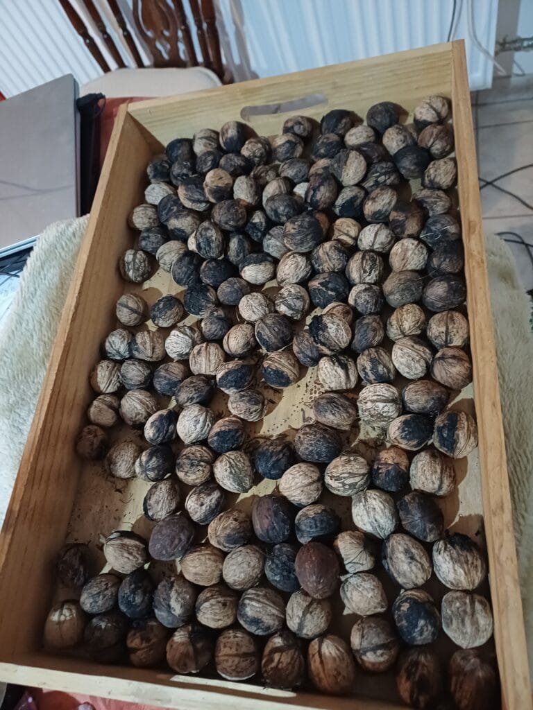 Hongaarse herfst