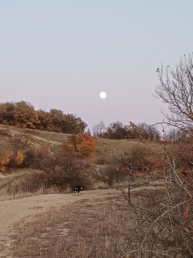 Hongaarse herfst