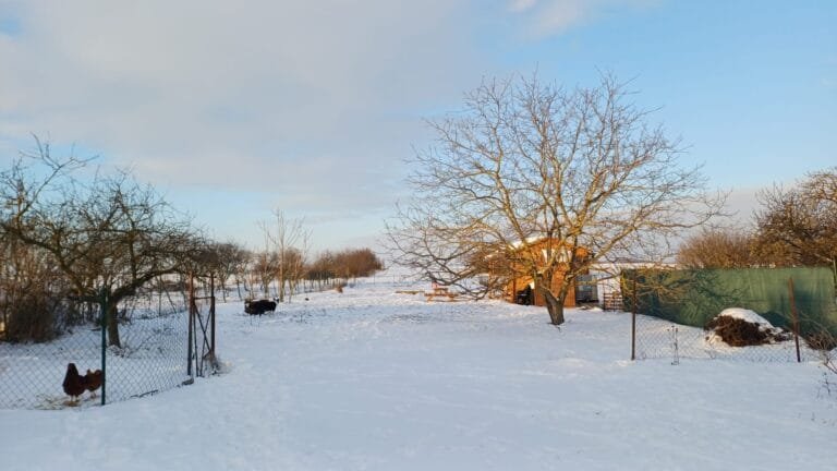 Winter in Hongarije