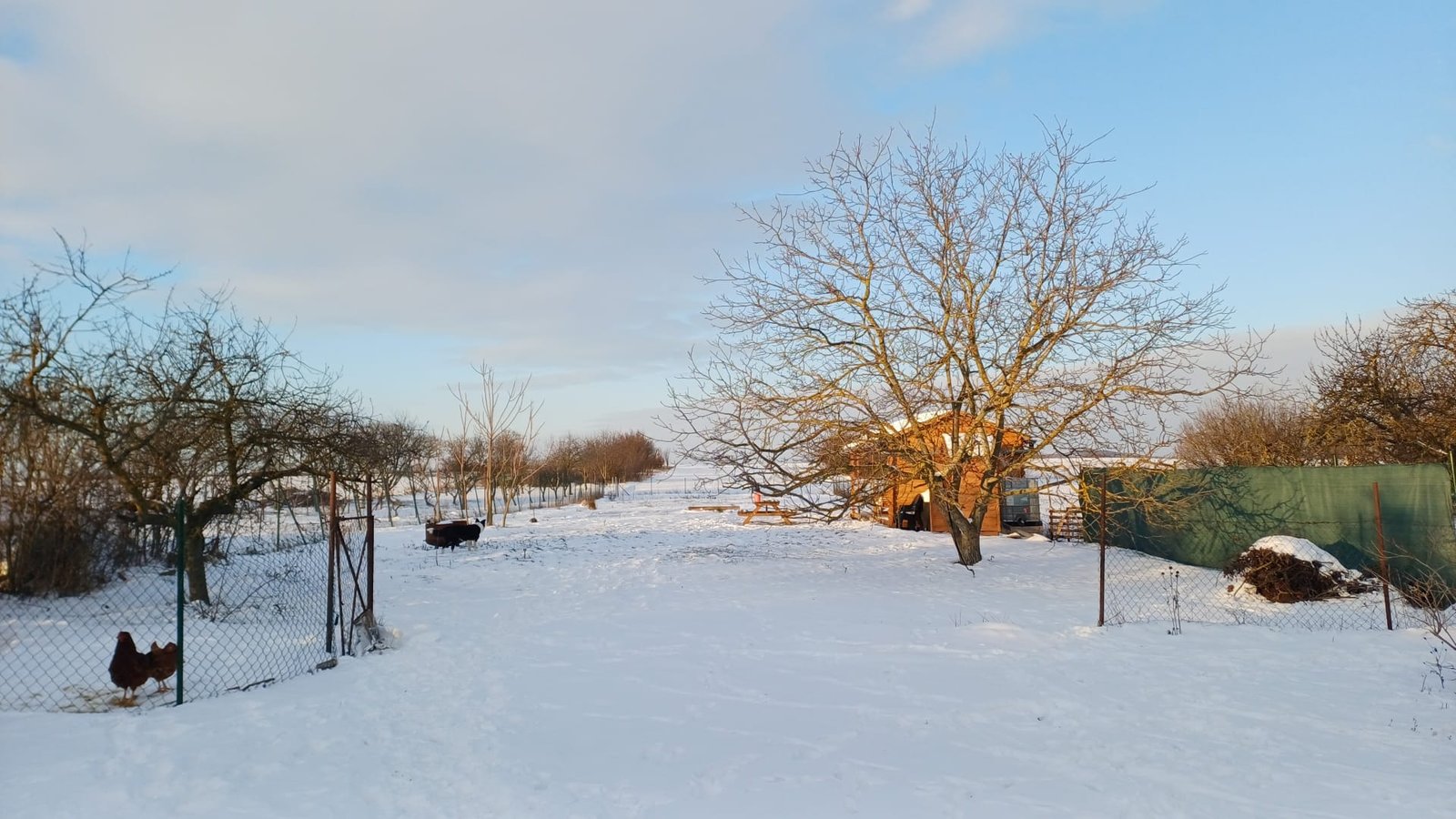 landschap